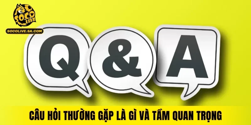 Câu hỏi thường gặp là gì và tầm quan trọng đối với người xem