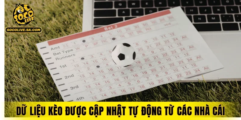 Dữ liệu kèo được cập nhật tự động từ các nhà cái