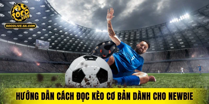 Hướng dẫn cách đọc kèo cơ bản dành cho newbie