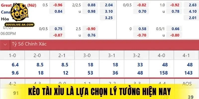 Kèo tài xỉu là lựa chọn lý tưởng hiện nay