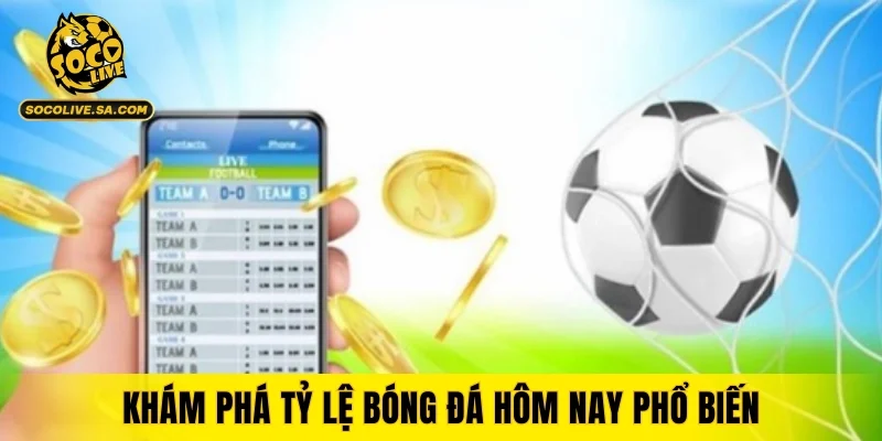 Khám phá tỷ lệ bóng đá hôm nay phổ biến