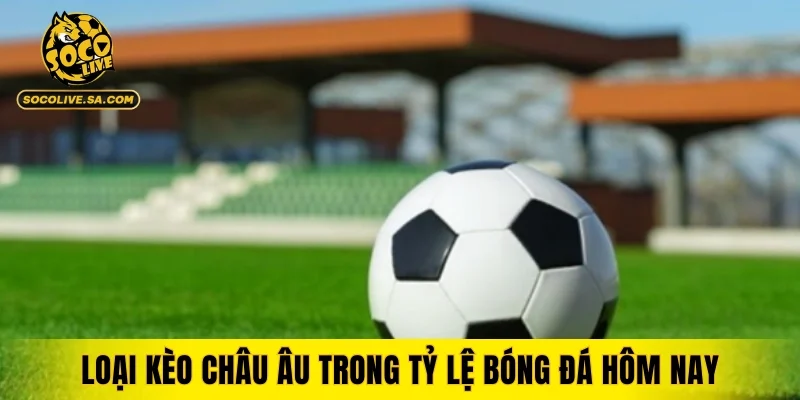 Loại kèo châu Âu trong tỷ lệ bóng đá hôm nay