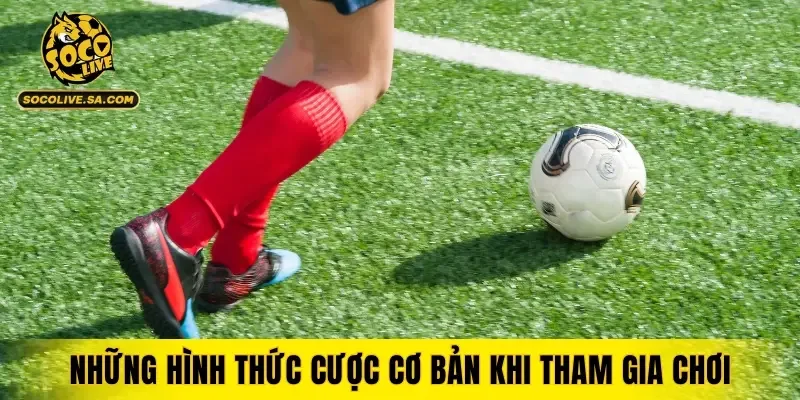 Những hình thức cược cơ bản khi tham gia chơi