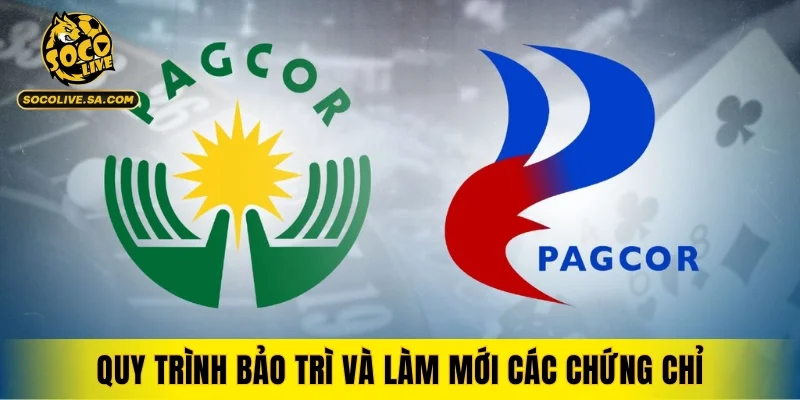 Quy trình bảo trì và làm mới các chứng chỉ của SOCOLIVE