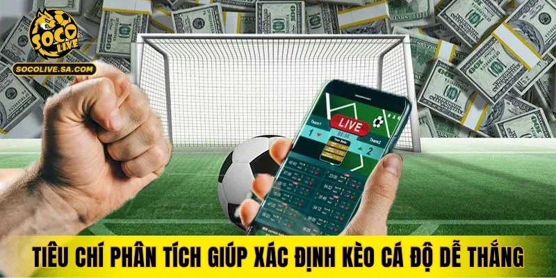 Tiêu chí phân tích giúp xác định kèo cá độ dễ thắng