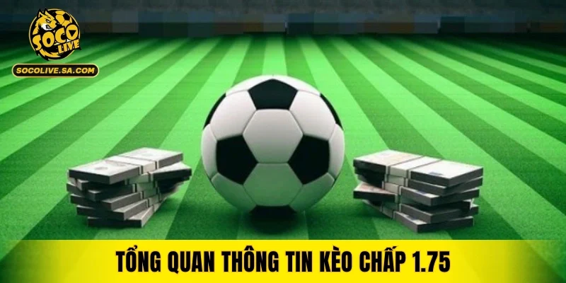 Tổng quan thông tin kèo chấp 1.75